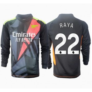 Arsenal David Raya #22 Målmand Replika Tredjetrøje 2024-25 Langærmet
